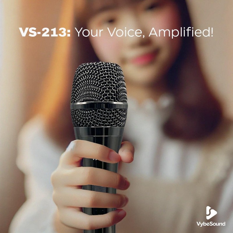 VybeSound VS-213 Professional Dynamic Vocal Microphone – 13ft XLR Cable,