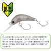 DAIWA Trout Caterpillar Vitaming Lures Tube Fishing