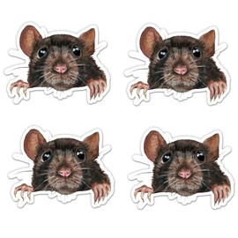 Pack of 4-3 Inch Stickers - Rat Peeking Sticker - Laptop Sticker - Waterproof Vinyl for Car Phone Water Bottle - Rat Decal - Sticker Graphic Decal