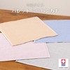 Imabari Towel Palette, Gauze & Pile, Lightweight, Mini Handkerchief, 9.8