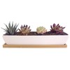 SWONVI 11.1 inch Long Rectangle White Ceramic Succulent Planter Pots/Mini