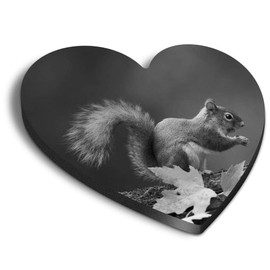 1 x Heart MDF Magnets - Cute Cheeky Squirrel Wildlife 40810