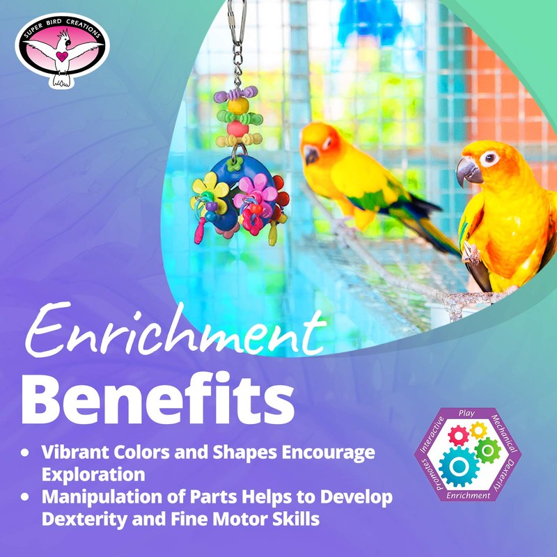 Super Bird Creations SB1085 Flower Power Bird Toy, Small/Medium Bird