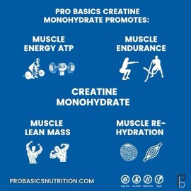 PRO BASICS Micronized Creatine Monohydrate Powder 10.6oz. Unflavored. Pure Non Grainy
