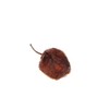 4oz Dried Habanero Peppers by 1400s Spices