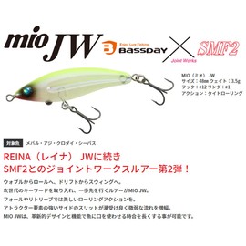 Bassday BassDay x SMF2 MIO JW C-528 Light and Dark Killer