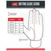 Rawlings 5150 Flag Country Batting Gloves Limited Edition Adult, Florida,