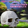 Sugarello Reptile Shelter Hideaway Terrarium Cage Reptile Breeding Aquarium Decoration