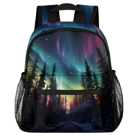 YPPAHHHH Toddler Backpack Northern Lights Aurora Kindergarden Kids Bacpack for Boys Girls Preschool Bag Fantasy Aurora Lightweight Small Travel Rucksack Bag with Bottle Holder