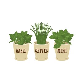 CafePress Basil Chives Mint Memory Keepsake Jewelry Box, 5"x5"x3.75"