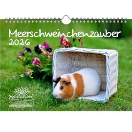 Guinea Pig Magic DIN A4 Calendar for 2026 Guinea Pigs, Gift Set Contents: 1 x Calendar, 1 x Christmas Pendant (2 Pieces in Total)