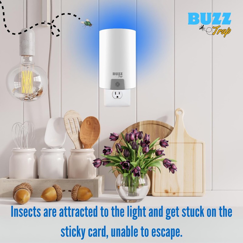 Fly Trap Indoor, Gnat Killer Indoor, Fly Traps Indoor for