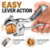 Stainless Steel Squirrel Nutcracker Tool – Multifunctional Handheld Nut Shell