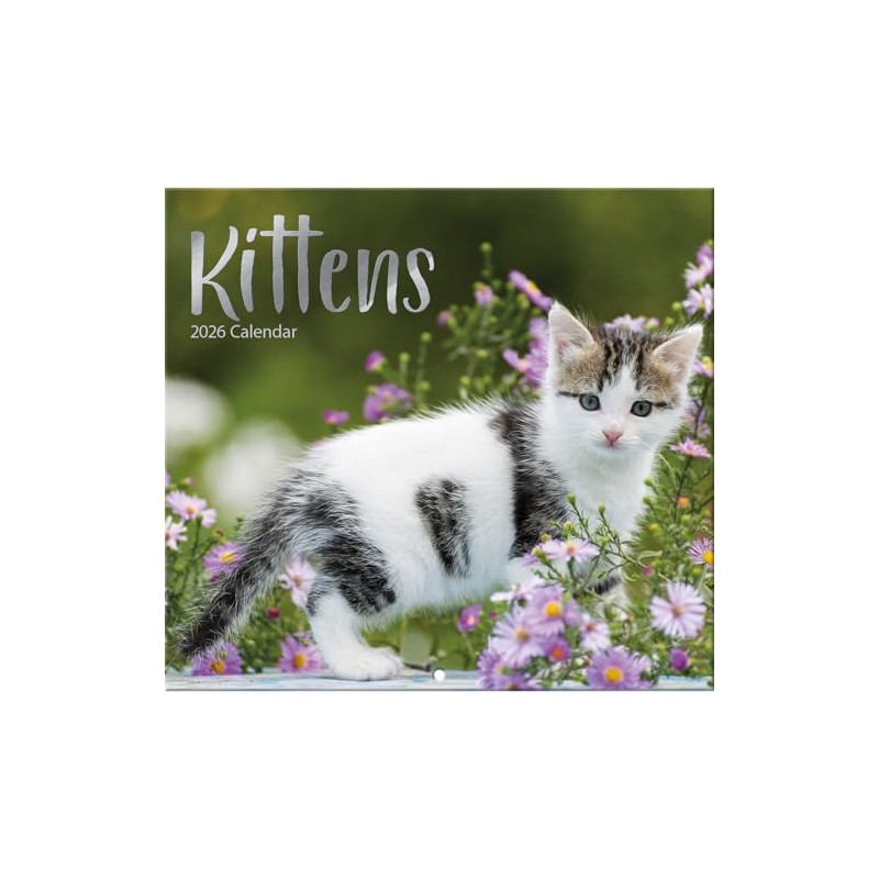 Kittens 2026 Full Size Wall Calendar for Planning, Scheduling, and