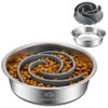 2-in-1 Metal Dog Bowl with Slow Feeder Insert, Stainless Steel
