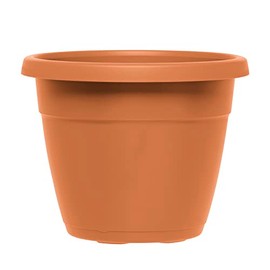 Emsa Flower Pot, Column Shape, 25cm, Light Terracotta, City, 517598Emsa Flower Pot, Column Shape, 25cm, Light Terracotta, City, 517598
