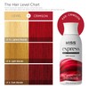 Kiss: Express Semi Permanent Hair Color - Crimson K49-Crimson