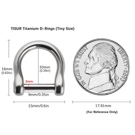 TISUR Titanium D-Rings with Screw Shackle, U Shape Key Chains Rings, Car Keys Tools, DIY Leather Craft Purse/Wallet Buckle 1 pcs (Polished, Tiny)