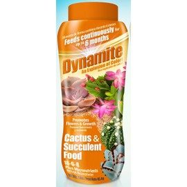 Dynamite 82170 Sun Bulb Cactus & Succulent Food, White