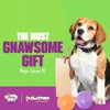 Gnawsome - Pelota de chirriador para Perro, tamaño Mediano, 8,9