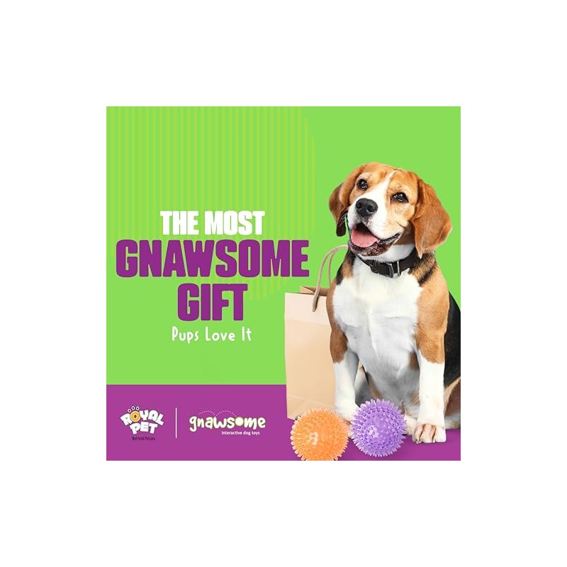 Gnawsome - Pelota de chirriador para Perro, tamaño Mediano, 8,9