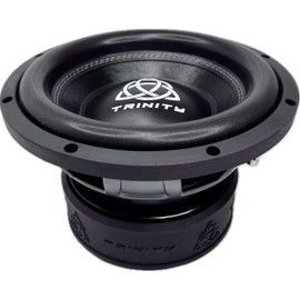 Trinity Audio TAS-E10D2 10" 2400W Dual 2-Ohm Subwoofer