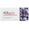 iGS4000