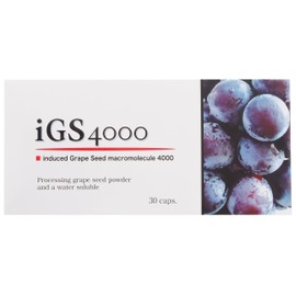 iGS4000