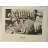 Holster Pencil Graphite Print Artwork Blank Note Card New 5
