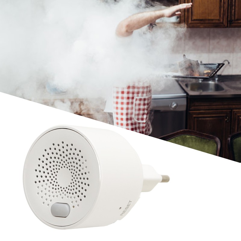 Ring Fire Alarm Sensor WiFi for Tuya Plug in Natural