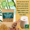Sundried Sea Moss Musgo Wildcrafted Golden Raw Irish Sea Moss