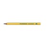 Ticonderoga - PPNE Beginner Primary Size Pencils, Wood-Cased #2 HB
