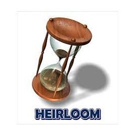 David's Garden Seeds Carrot Cosmic Purple 1000 Non-GMO, Heirloom Seeds