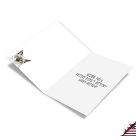 NobleWorks, Funny Birthday Greeting Card with 5 x 7 Inch Envelope (1 Card) Bday Cat Antics - Photos C3638GBDG