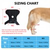 SHARKBEEPOWER Dog Knee Brace for Back Leg, ACL Support for
