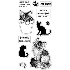 Fiskars 4x8 Inch Clear Stamps-Friends Furever, Black