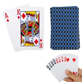 D.A.Y. Republic Professional Style Standard Plastic Coated Poker Size Playing Cards 52 Card Standard Deck + 2 Jokers, Ideal for Poker Nights, Parties and Family Game (2 Pack)