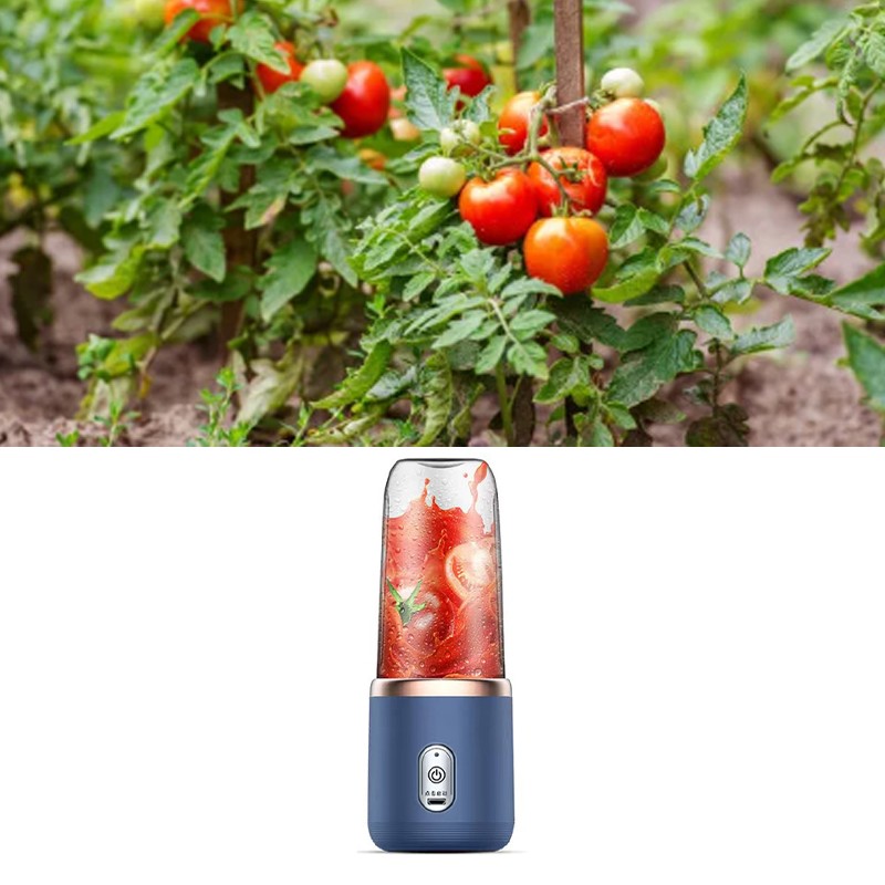 Mini Juicer Cup Multifunctional Portable Rechargeable Juicer Blender for Student