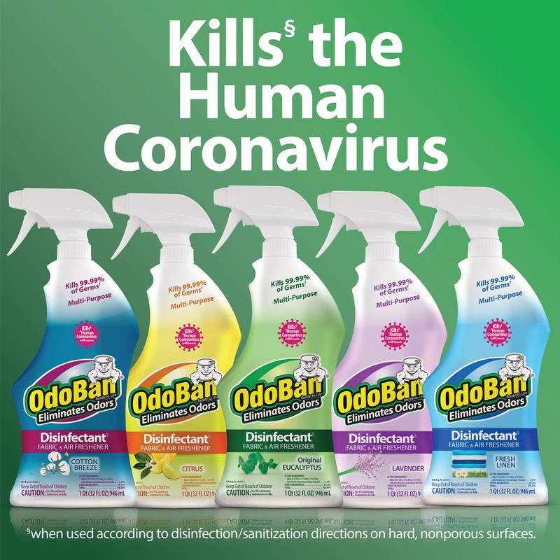 OdoBan Ready-to-Use Disinfectant and Odor Eliminator, Set of 2 Spray