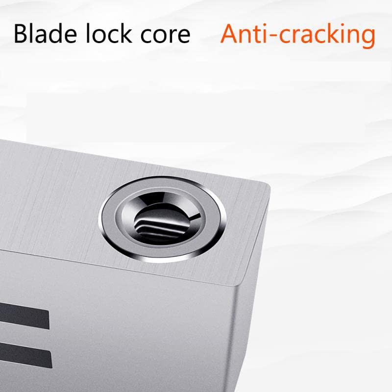 ECHOZONE General Car Anti-Theft Brake Clutch Lock, Heavy Duty Stainless