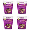 Wild Roots 100% Natural Trail Mix Coastal Berry Blend Special