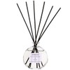 Stoneglow Modern Classics Reed Diffusers Various Scents (Plum Blossom &