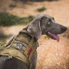 OneTigris Arnés Táctico Militar para Perros Grandes y Medianos con