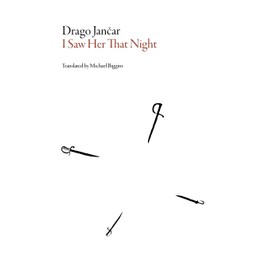 I Saw Her That Night