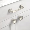 Asidrama 10 Pack 3.75 Inch(96mm) Brushed Satin Nickel Kitchen Cabinet