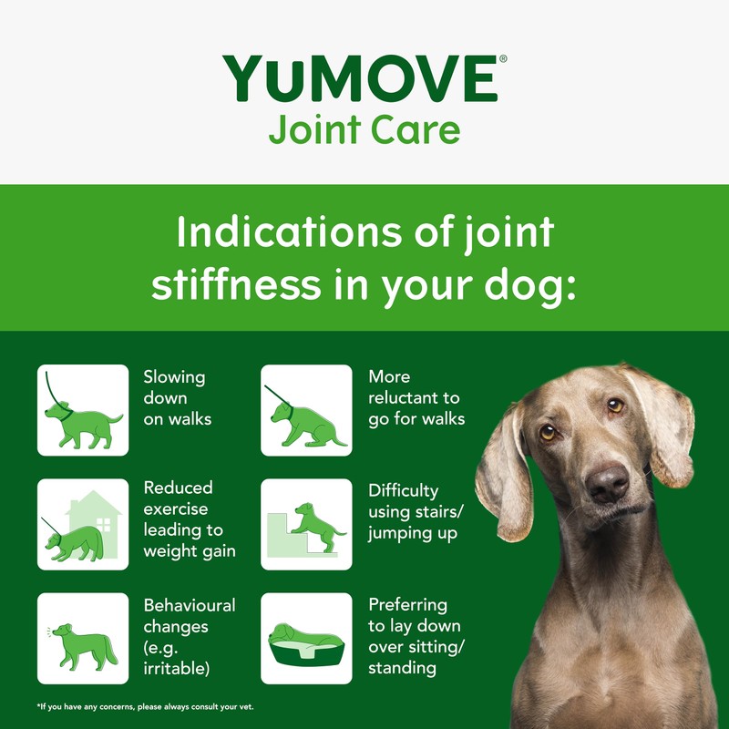 Lintbells | YuMOVE Adult Dog | Hip and Joint Supplement