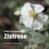 Alsiroyal Cistus & Paracress for the Eye Area