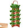 Strawberry Hanging Planter Upside Down,Tomato 4/8 Planting Holes Strawberry Grow