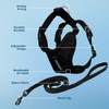 Voyager Step-in Lock Cat Harness and Reflective Cat Leash with