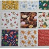 CHRISTMAS Fabric I SPY Squares Cotton Charms 5 inch Sq